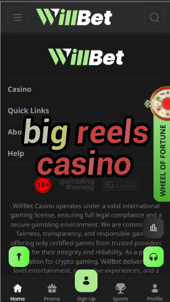 Big Reels Casino - Massive Slot Machine Selection-betfredcasinouk.casinoorder.vip